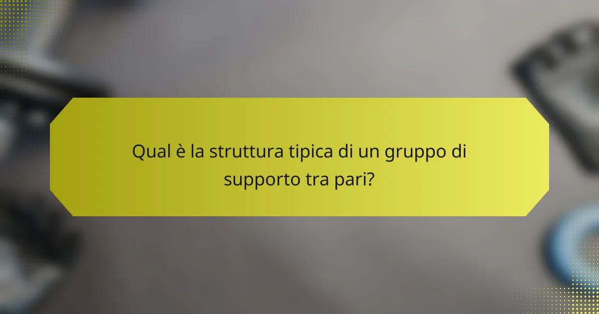 Qual è la struttura tipica di un gruppo di supporto tra pari?